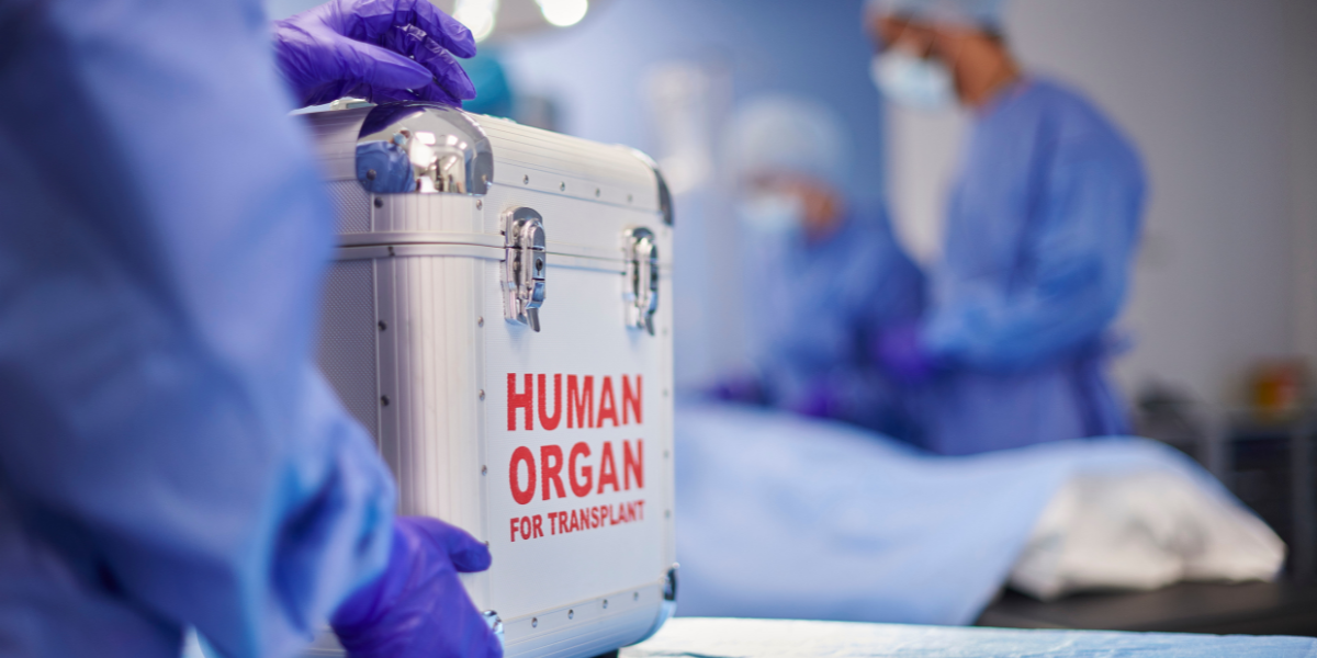 in the operating room someone holds a cooler that says human organs for transplant
