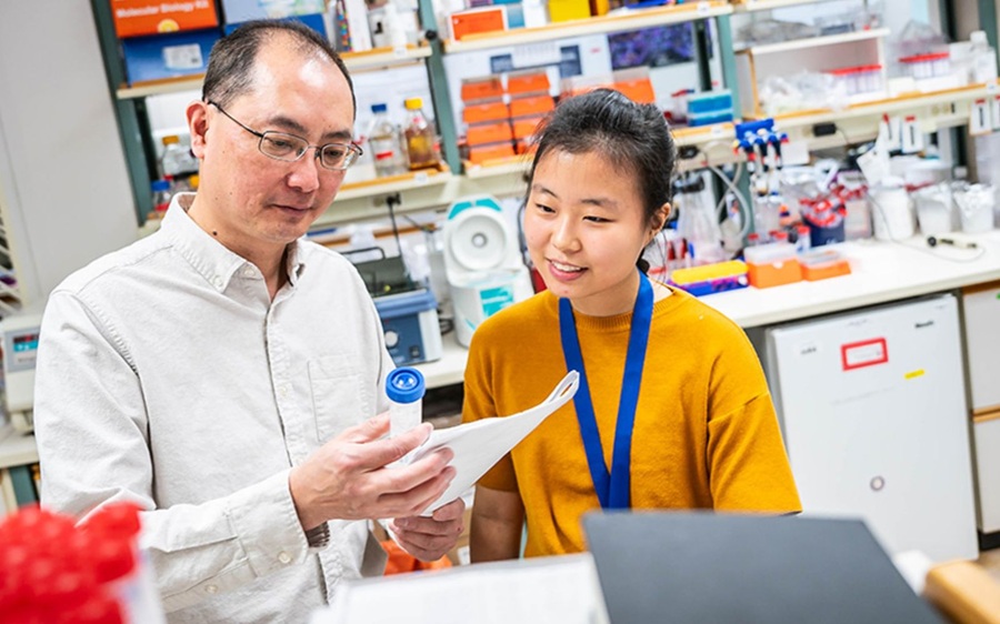 xr:d:DAF5_vt3Em0:3,j:8691236987857838406,t:24011522