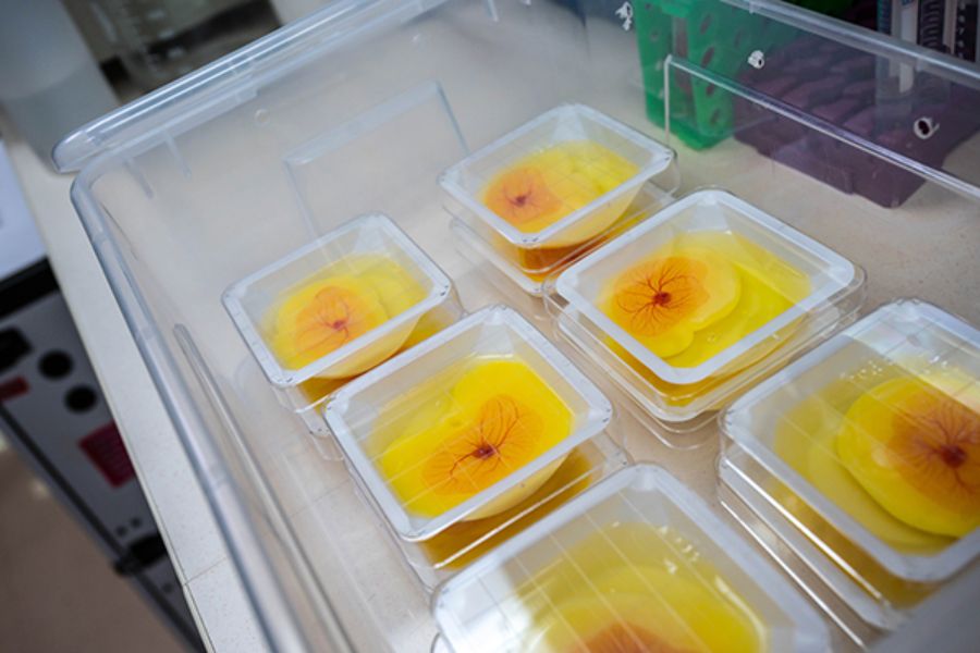 xr:d:DAF5_kacYEI:4,j:8354592915948716751,t:24011522