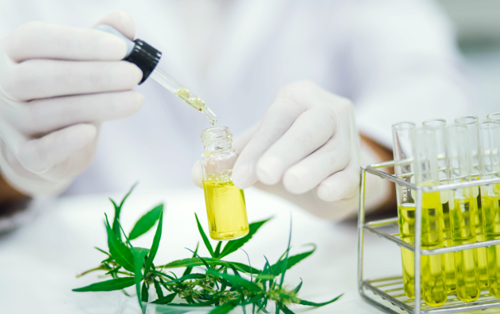person in lab with oils in test tubes and cannabis plants