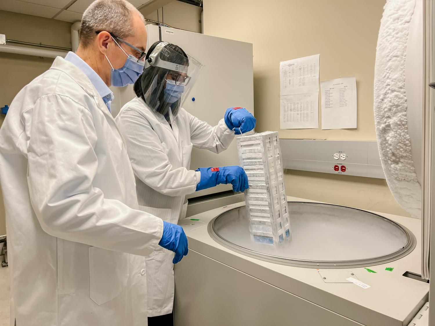 Dr. Stuart Turvey and Simran Samra looking at stored biological samples.