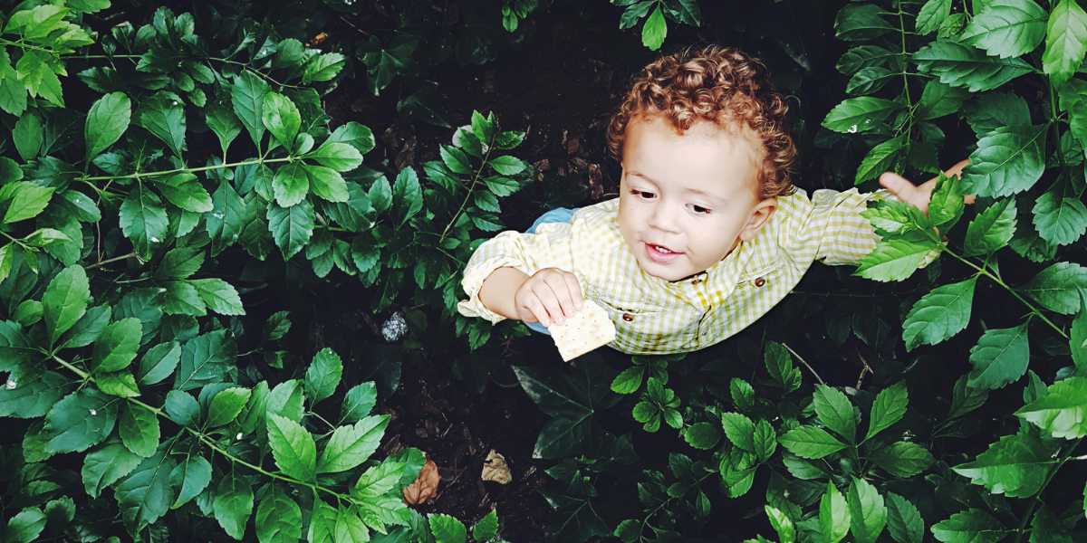 Boy playing in the forest. 