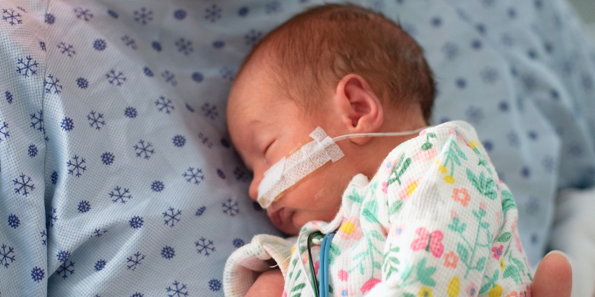 premature baby brains are growing fast
