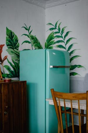 teal fridge