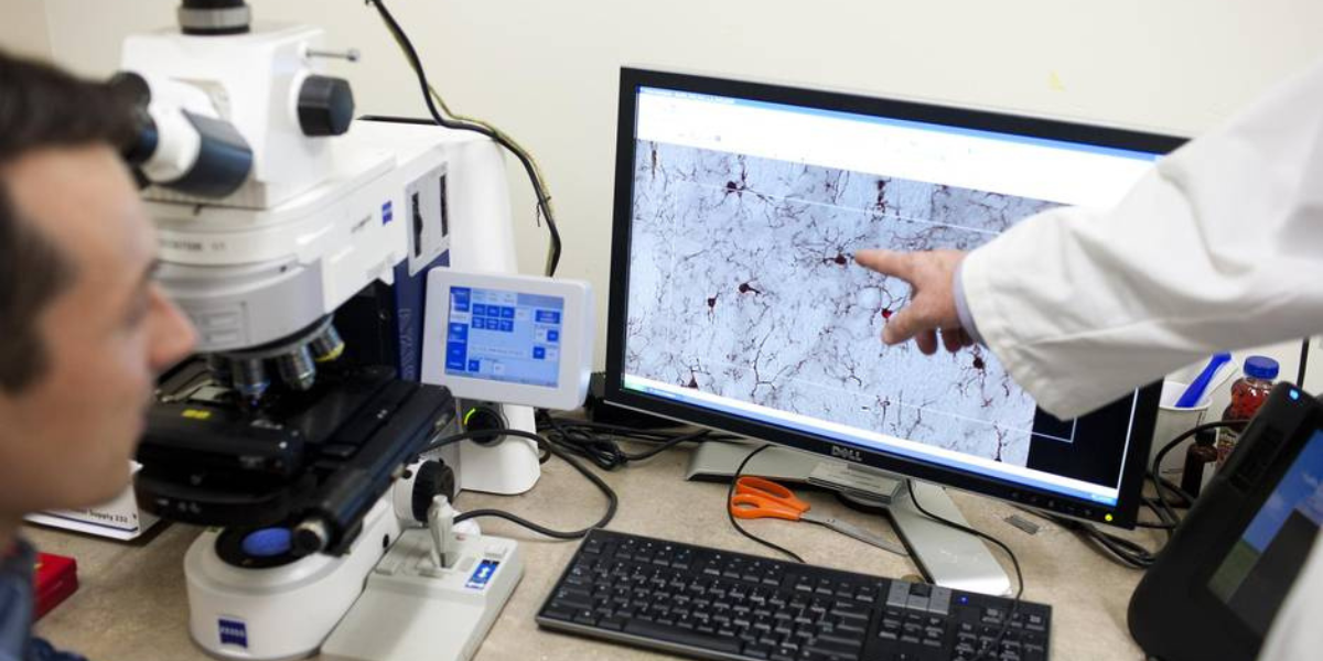 Dr. Blair Leavitt and a graduate student looking at brain cells on a microscope