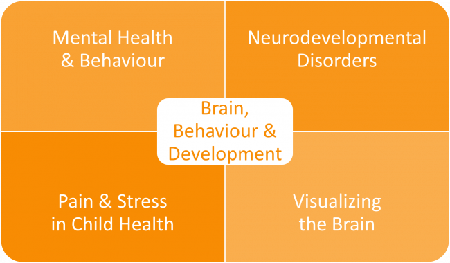 Brain Behaviour and Development research theme