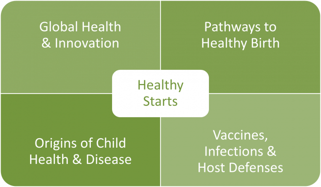 Healthy Starts research theme