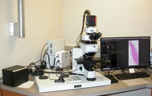 Olympus BX61