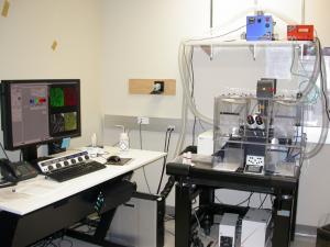 Leica SP5II Laser Scanning Confocal & Wide Field Microscope