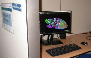 Image Deconvolution, 3D Rendering & Analysis Workstation