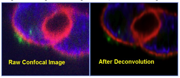 Huygens Essential Offline Deconvolution