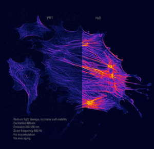 Image Deconvolution