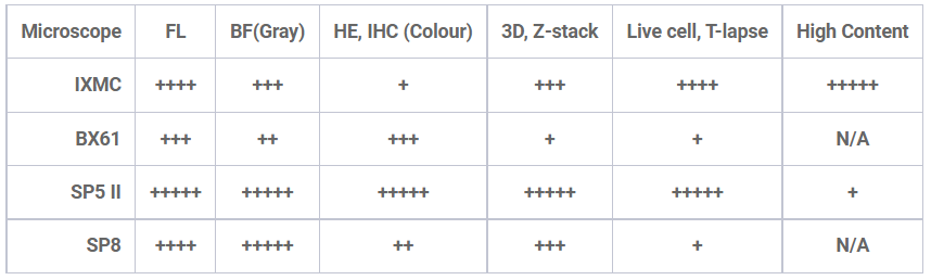 Microscope guide