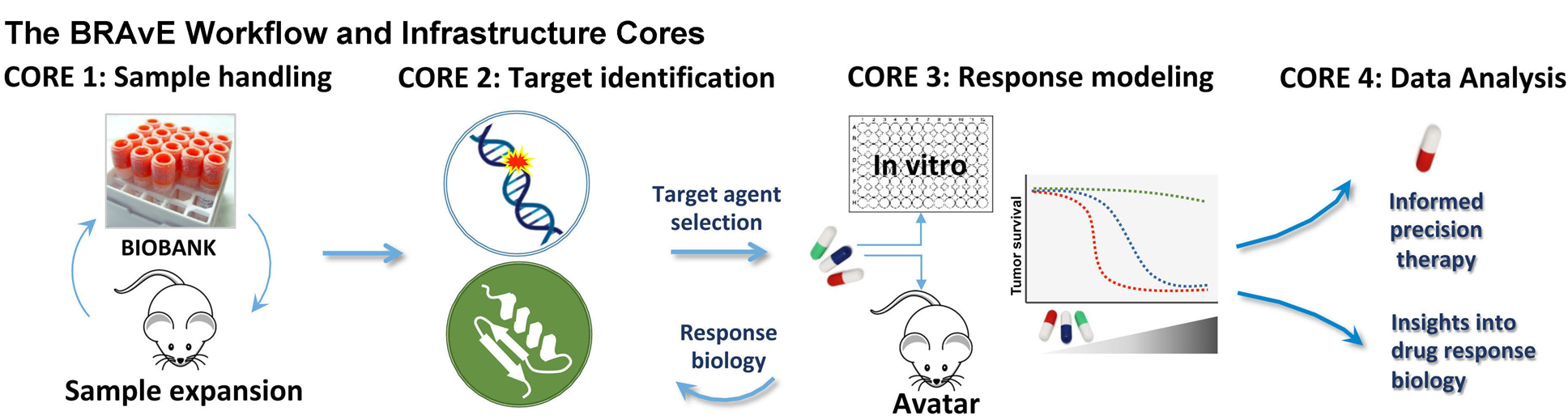 The BRAvE Workflow and Infrastructure Cores