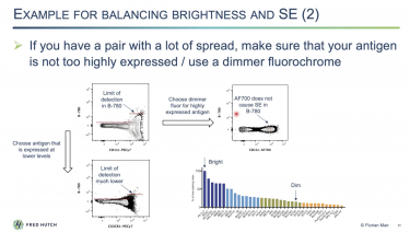 Example for Balancing Brightness and SE