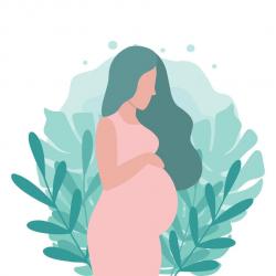 Pregnancy graphic