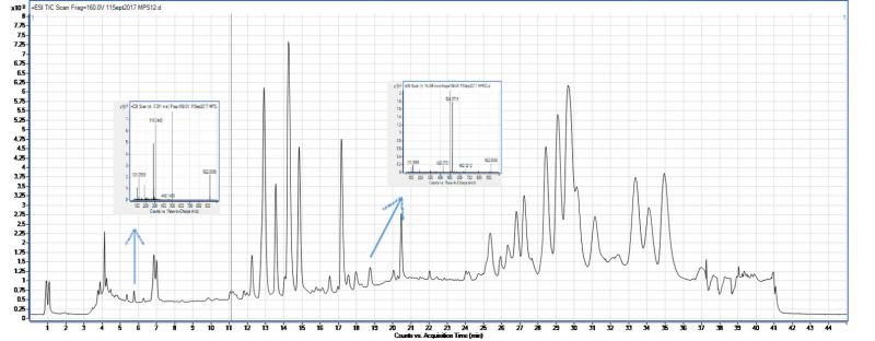 metabolomics-graph_0.jpg