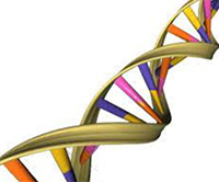 Glucose Breath Test and Carbohydrate Sources in GSD I