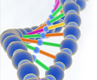 PKU Research Study