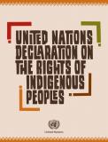 UNDRIP banner