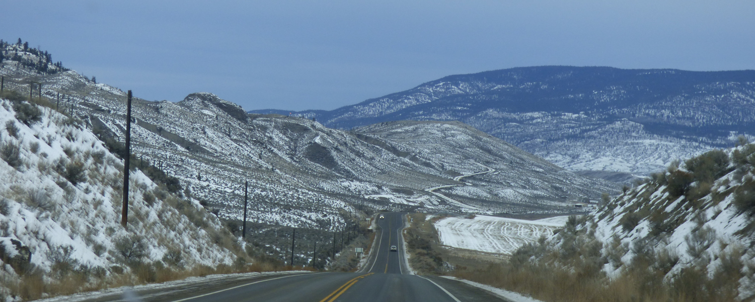 Winter landscape