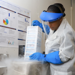 Working in the BioBank