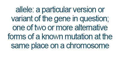 allele definition