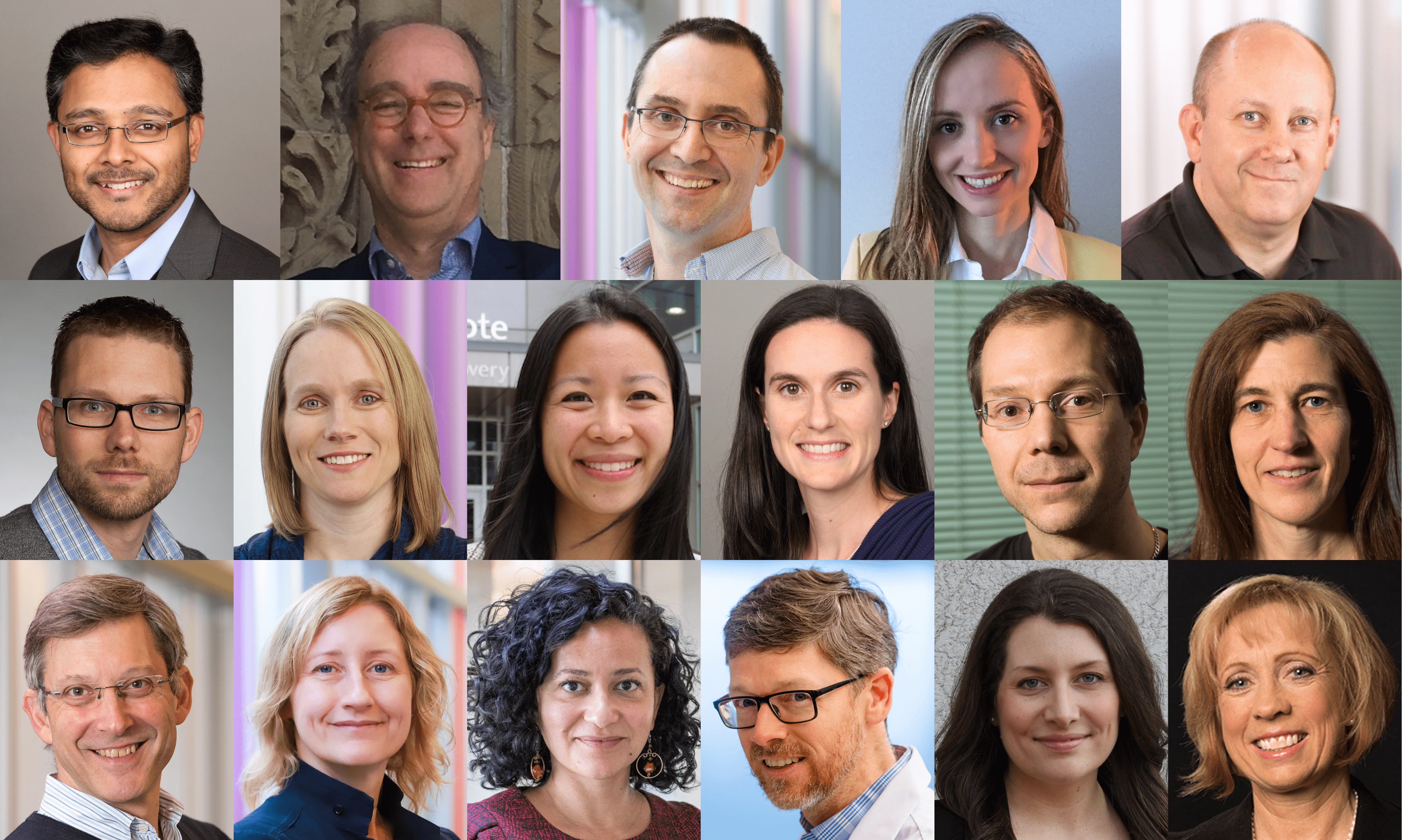 Heashots of the principal investigators that one CIHR spring 2021 Project Grants