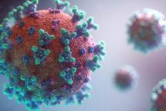 virus