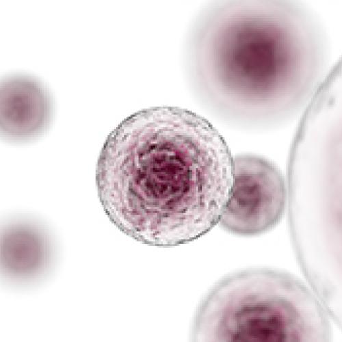 Immunotherapy