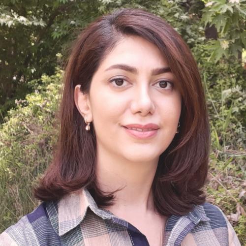 Nasim Niknejad