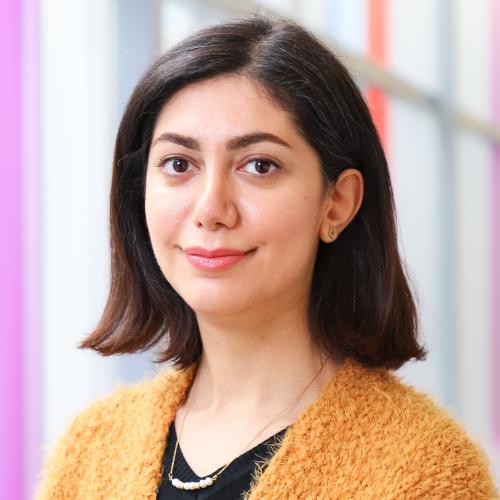 Nasim Niknejad