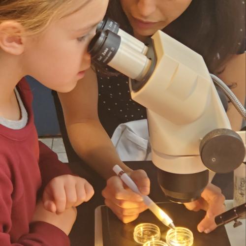a young girl looks through a microscope